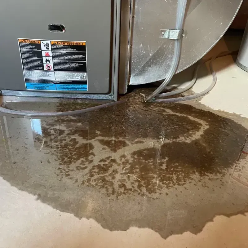 Appliance Leak Cleanup in Seymour, WI